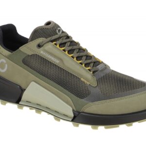 Ecco BIOM 2.1 X MOUNTAIN 82381460770 gr?n - Sportschuhe f?r Herren