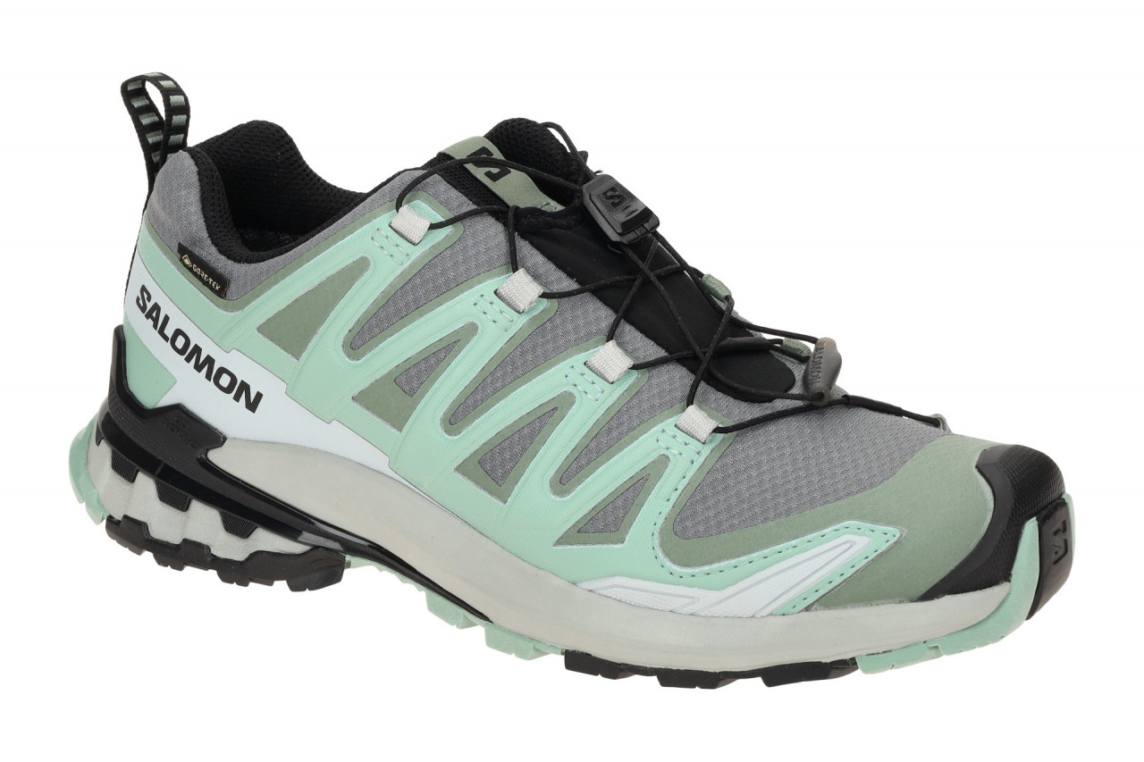 Salomon XA PRO 3D V9 GTX 478231 grau - Sportschuhe f?r Damen 1 Salomon XA PRO 3D V9 GTX 478231 grau - Sportschuhe f?r Damen