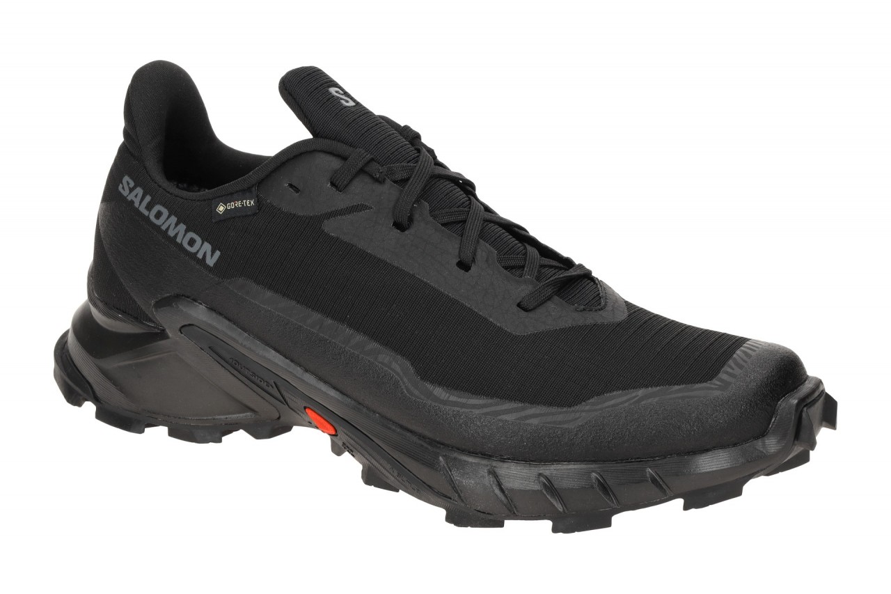 Salomon ALPHACROSS 5 GTX 473075 schwarz - Sportschuhe f?r Herren 1 Salomon ALPHACROSS 5 GTX 473075 schwarz - Sportschuhe f?r Herren
