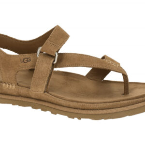 UGG GOLDENGAZE TOE POST 1175134 CHE hell-braun - Zehentrenner f?r Damen